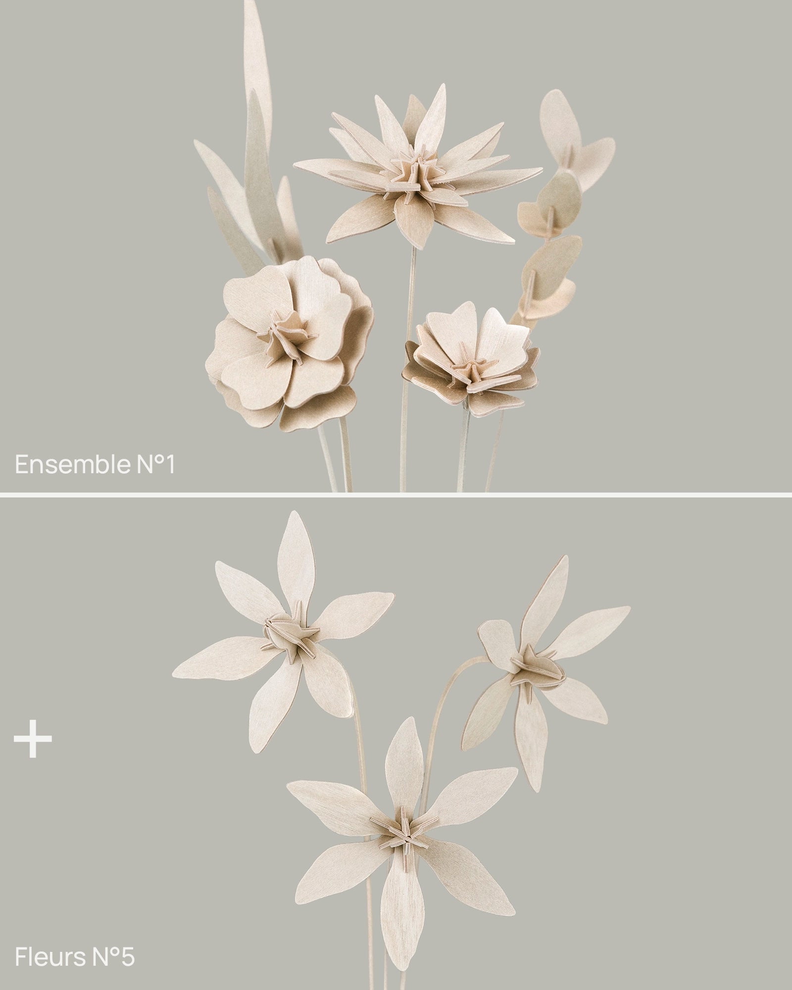Fleurs N°5 Studio Lynae