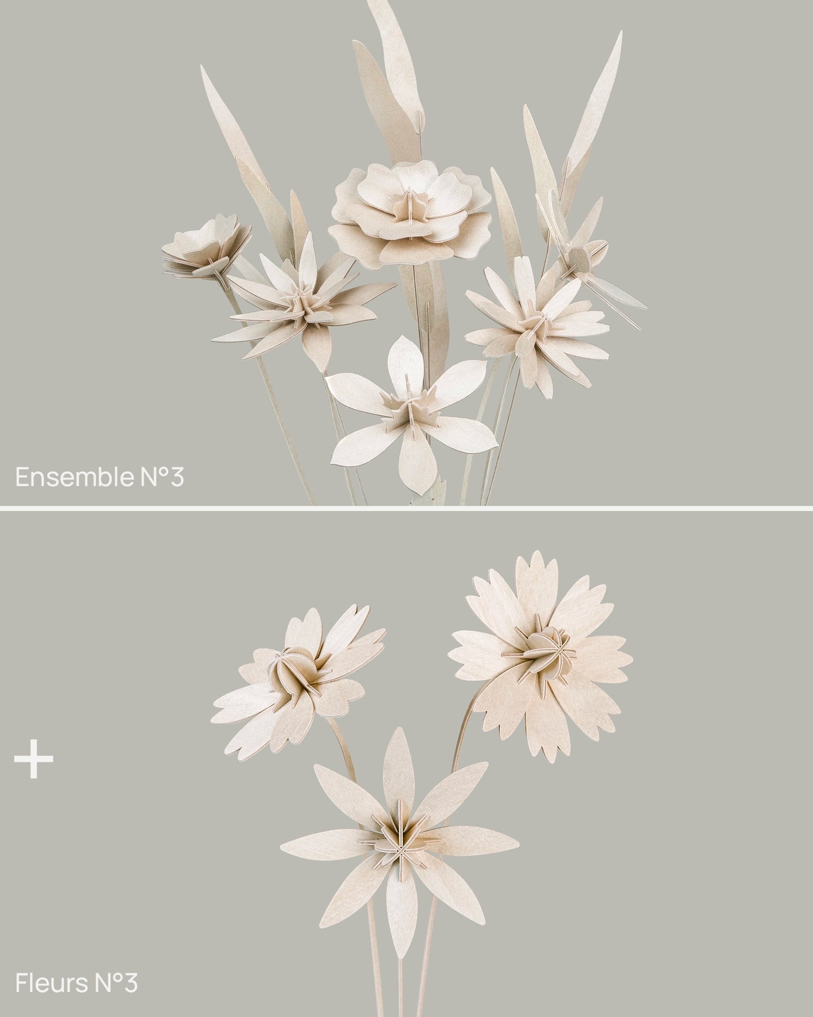 Fleurs N°3 Studio Lynae