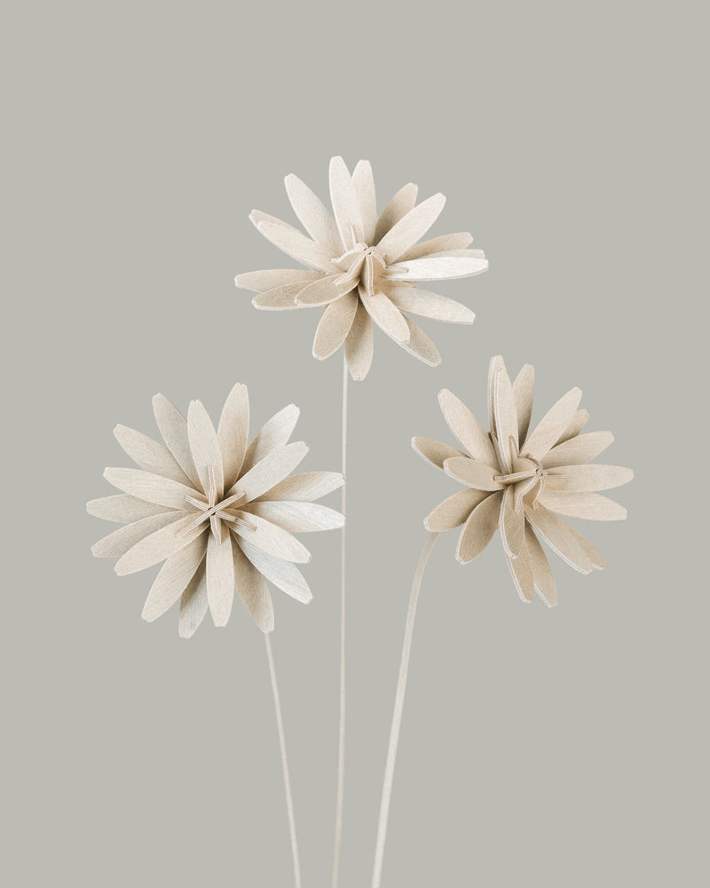 Fleurs N°1
