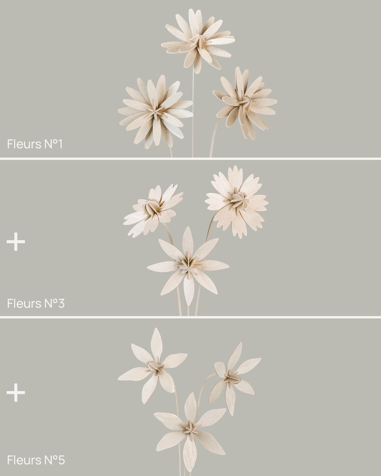 Fleurs N°1 Studio Lynae