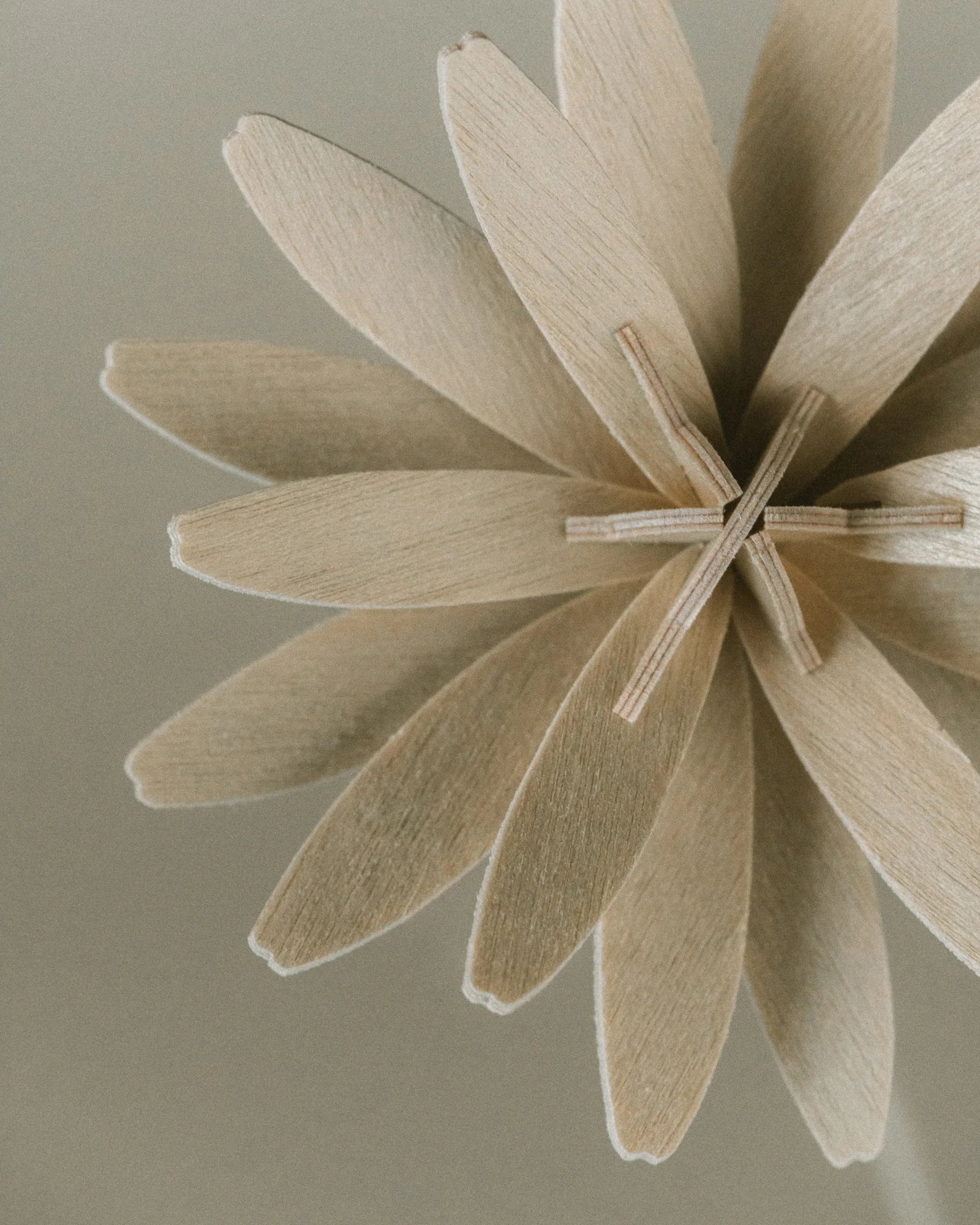 Fleurs N°1 Studio Lynae