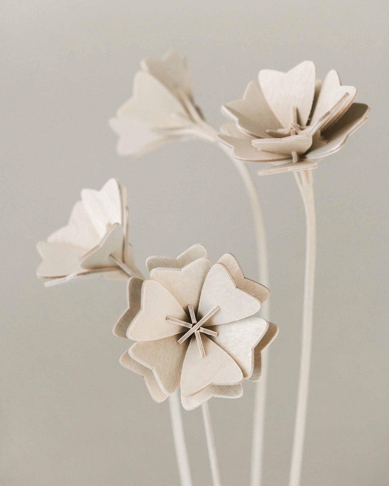 Fleurs N°2 gros plan