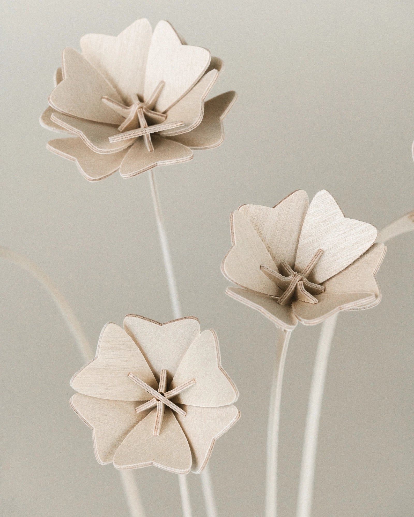 Fleurs N°2 gros plan