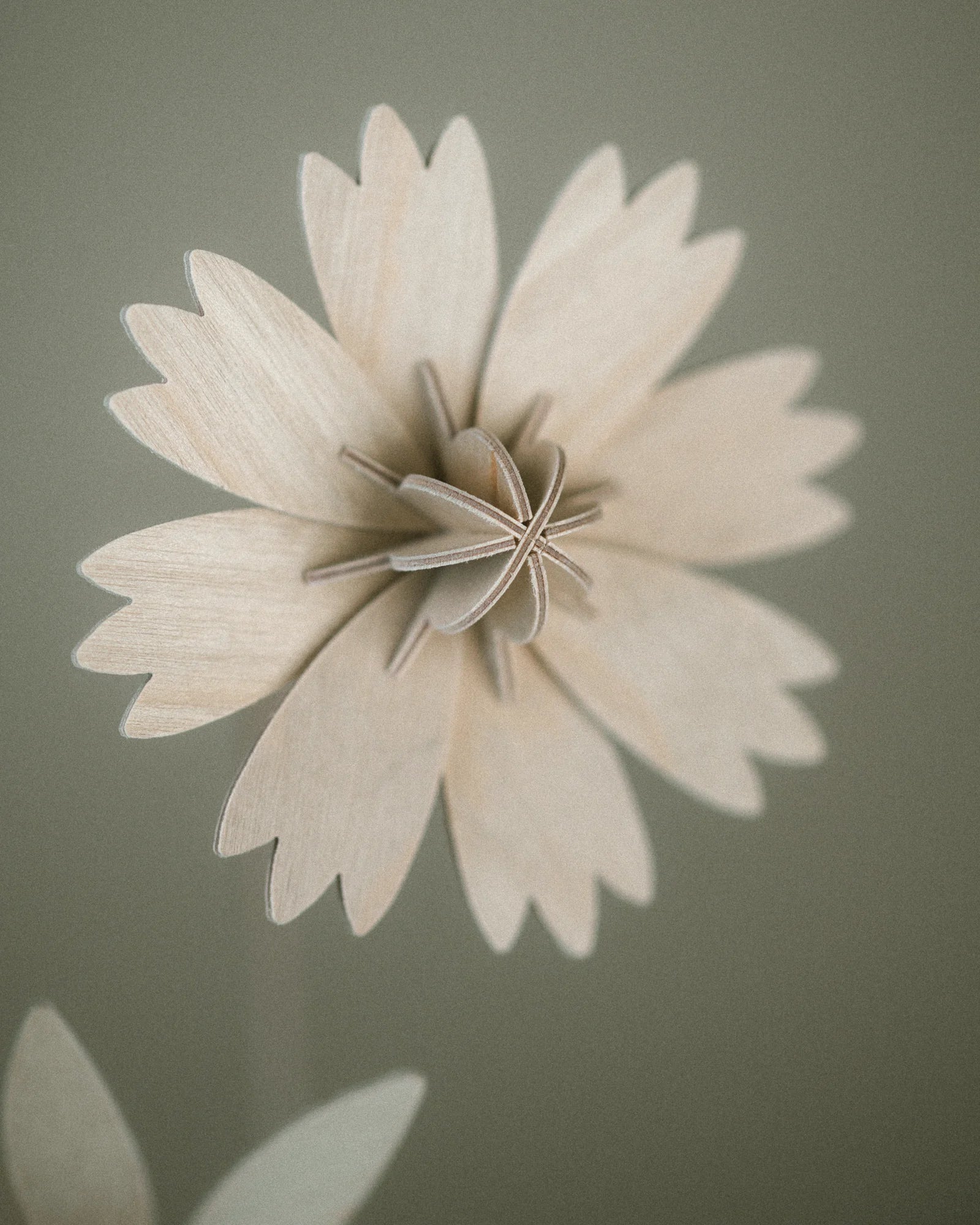 Fleurs N°3 Studio Lynae
