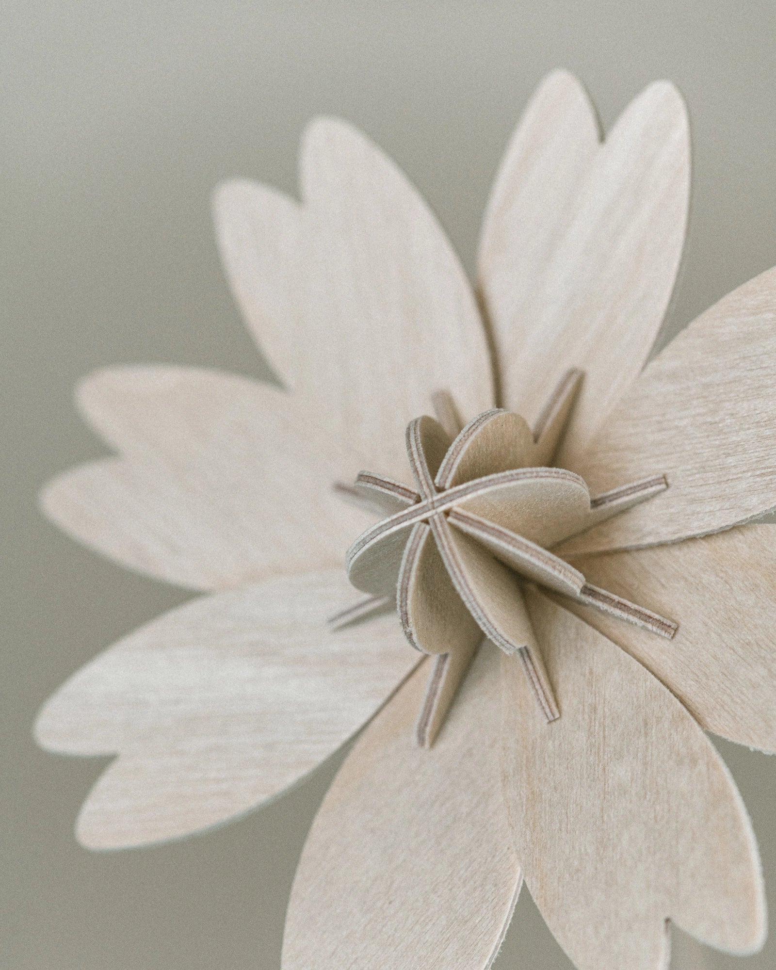 Fleurs N°3 gros plan