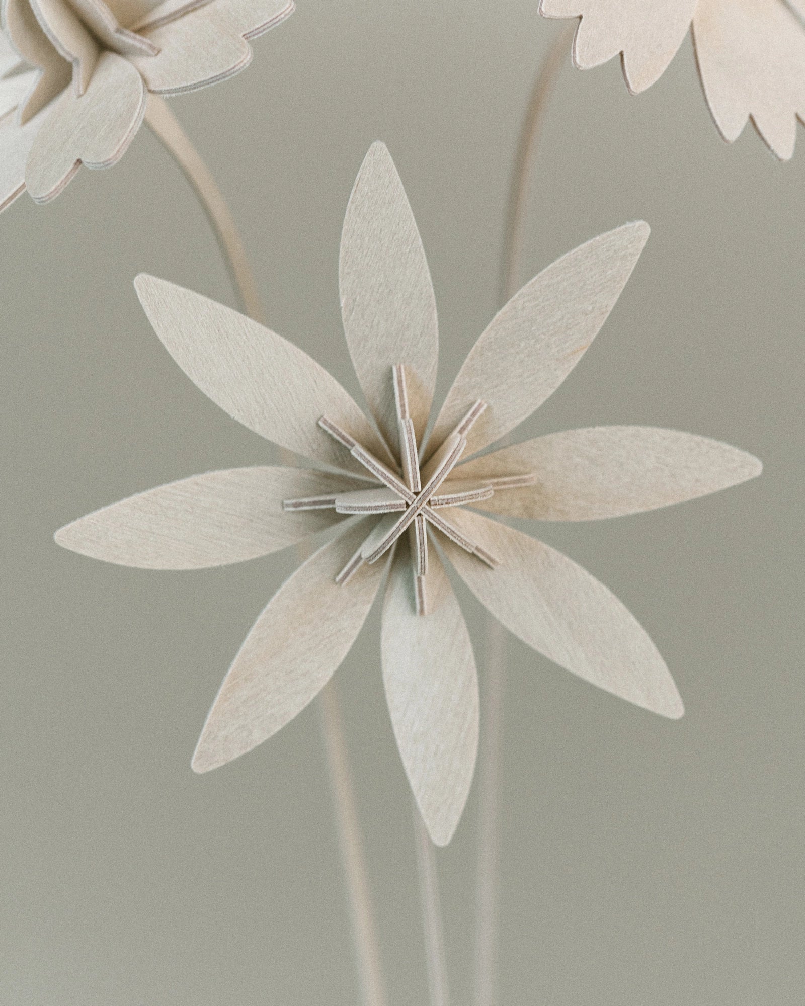 Fleurs N°3 gros plan