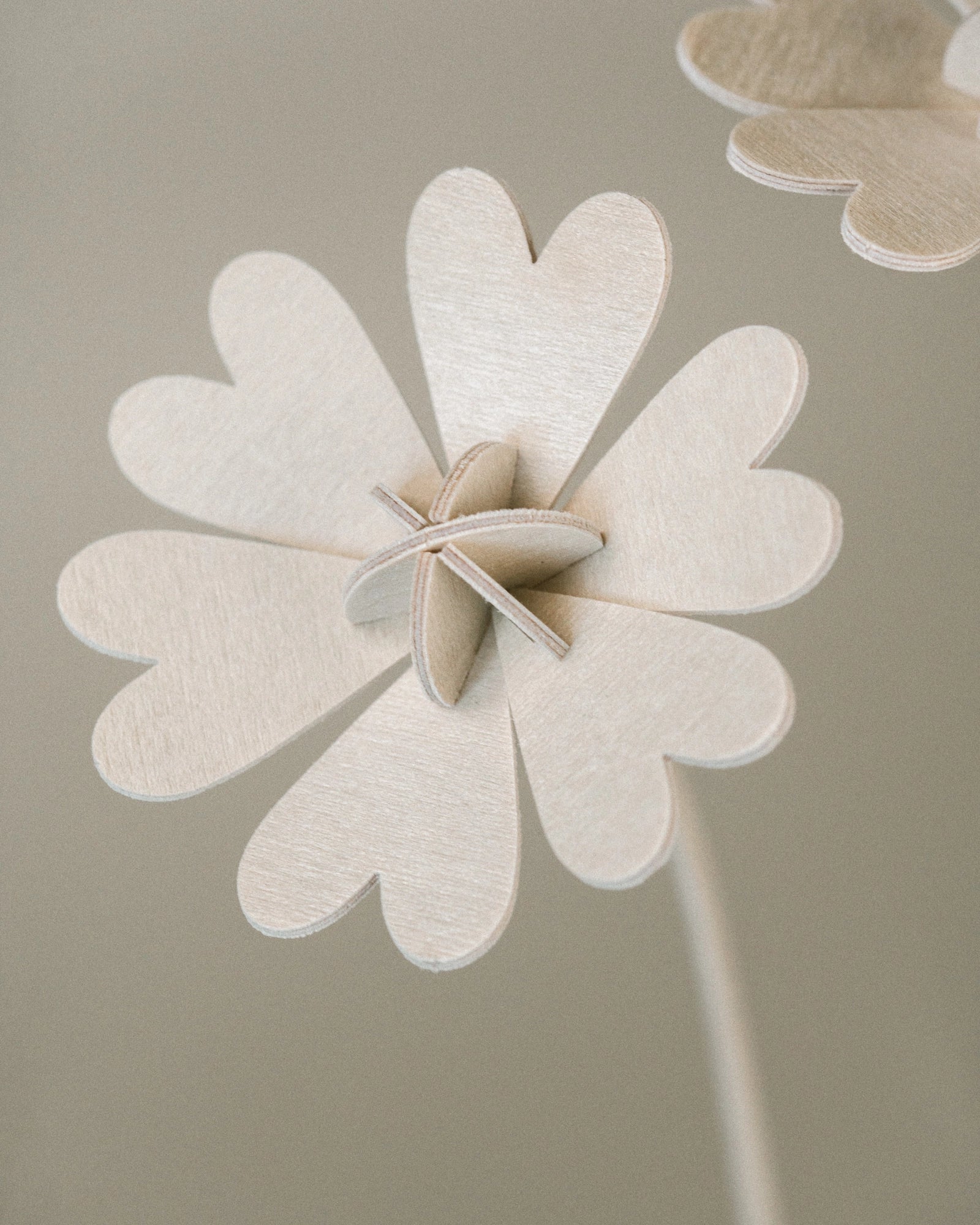 Fleurs N°4 gros plan