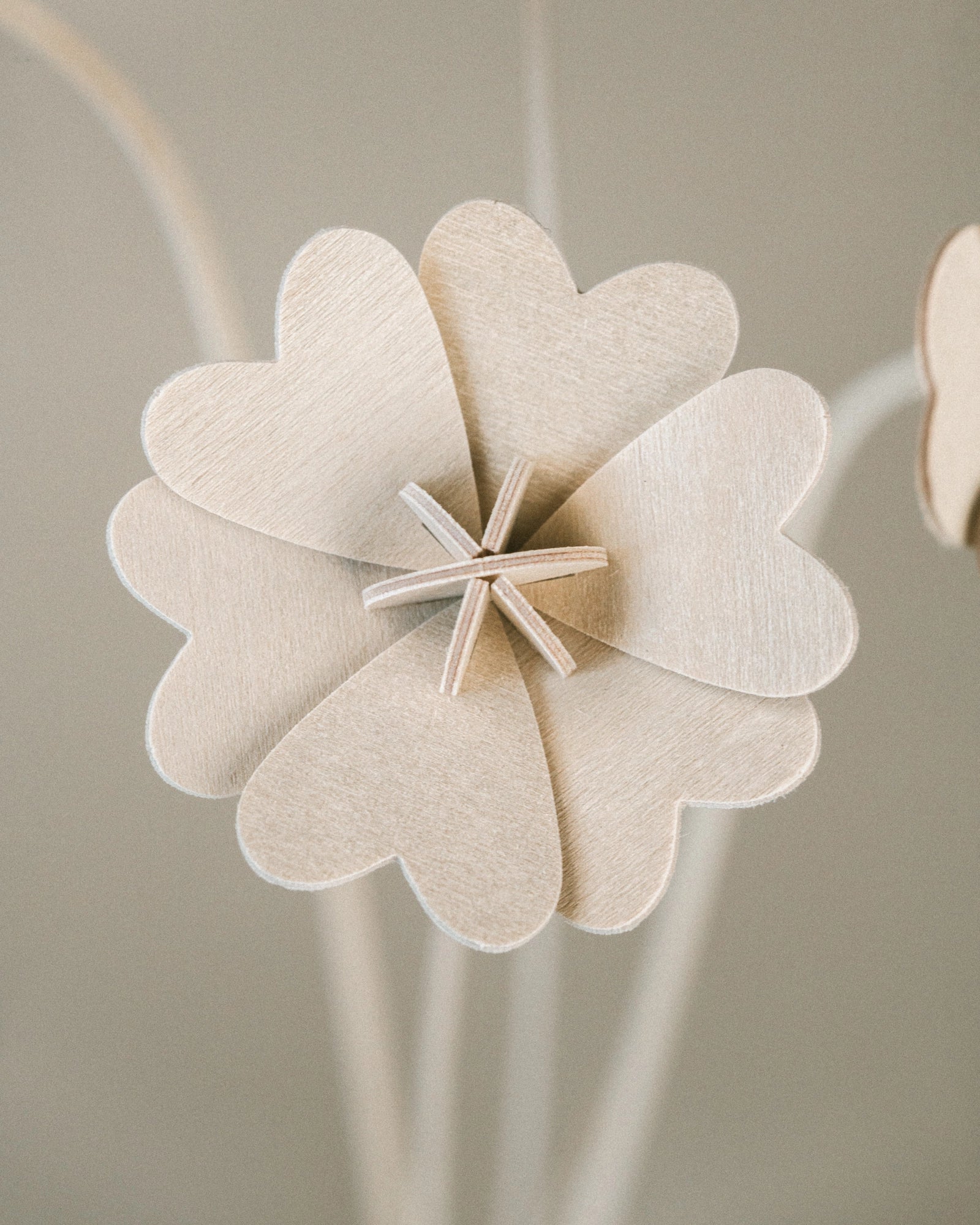 Fleurs N°4 gros plan