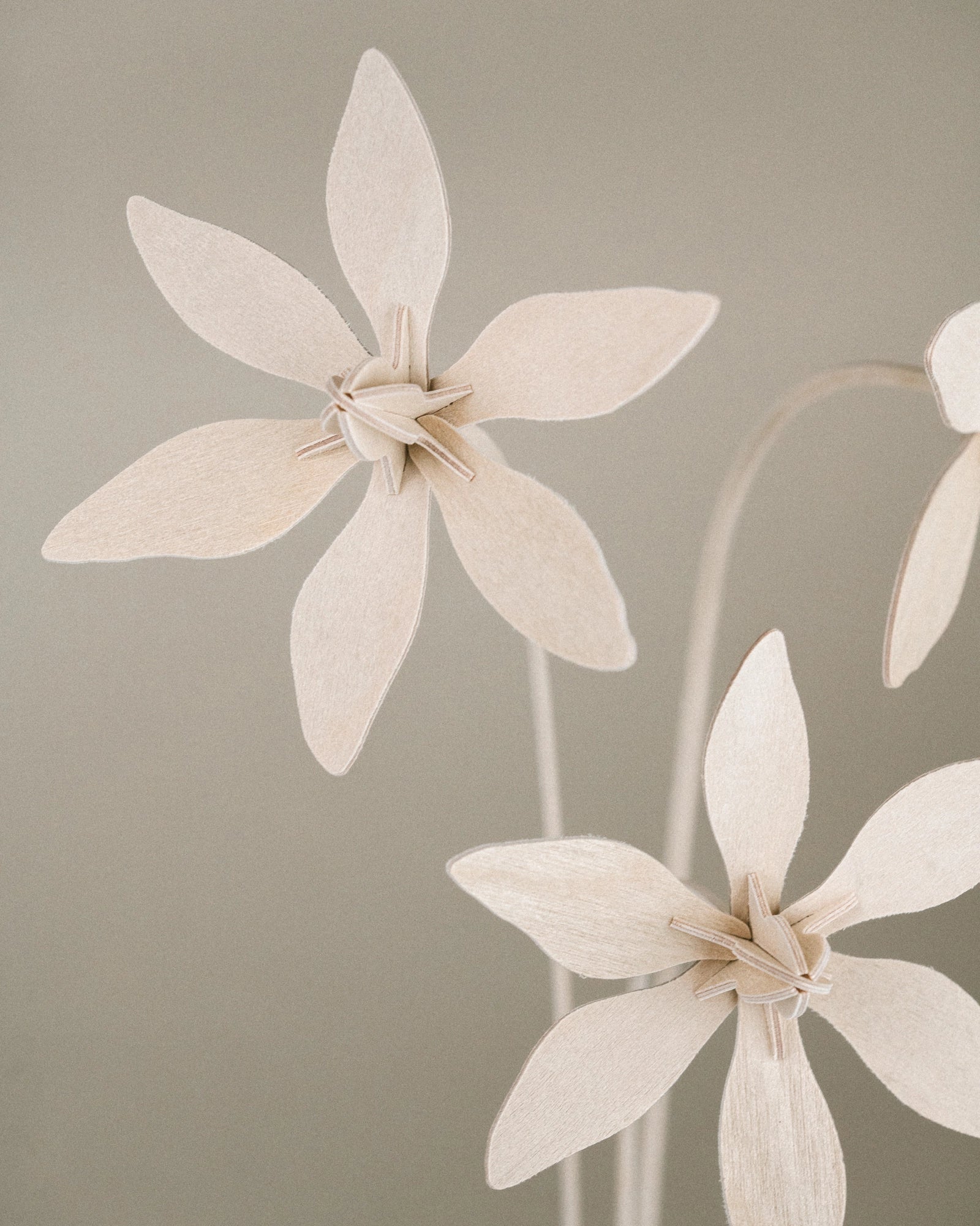 Fleurs N°5 gros plan