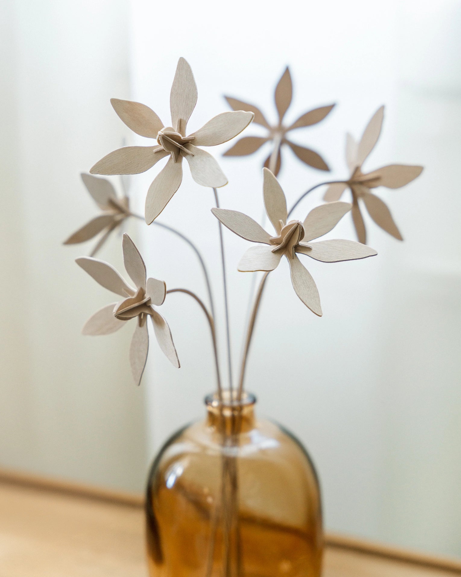 Fleurs N°5 mises en scène